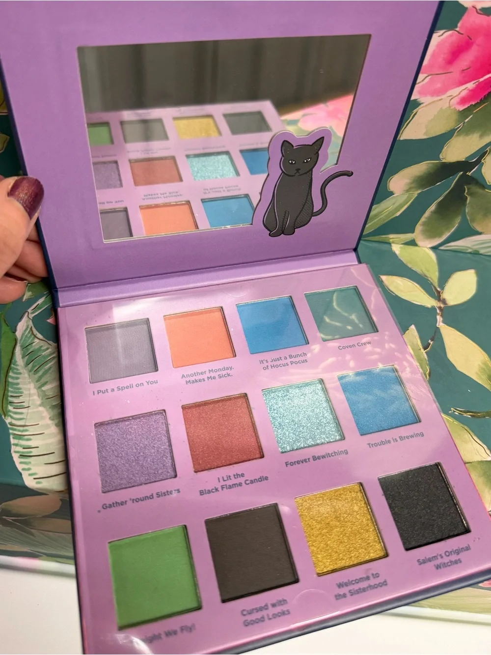 Taste Beauty brand new